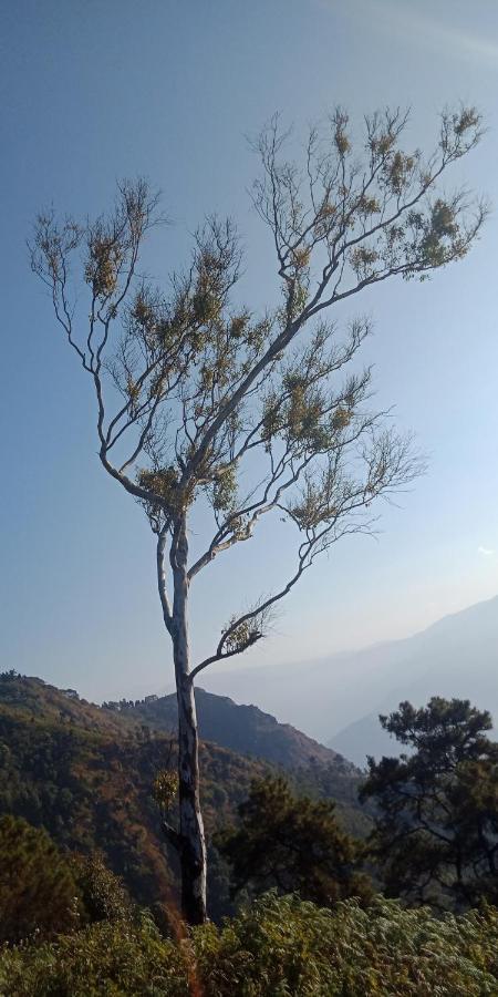 Ale Chojeke Kalimpong Exterior foto